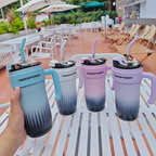 780ml Double Wall Steel Tumbler – Hot & Cold